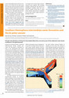 Research paper thumbnail of Southern Hemisphere intermediate water formation and the bi-polar seesaw