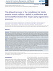 Research paper thumbnail of The delayed recovery of the remobilized rat tibialis anterior muscle reflects a defect in proliferative and terminal differentiation that impairs early regenerative processes