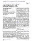 Research paper thumbnail of New Transitional Fleas from China Highlighting Diversity of Early Cretaceous Ectoparasitic Insects