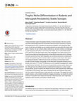 Research paper thumbnail of Trophic Niche Differentiation in Rodents and Marsupials Revealed by Stable Isotopes