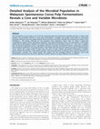 Research paper thumbnail of Detailed Analysis of the Microbial Population in Malaysian Spontaneous Cocoa Pulp Fermentations Reveals a Core and Variable Microbiota