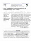 Research paper thumbnail of Highly Stable Binding Proteins Derived from the Hyperthermophilic Sso7d Scaffold