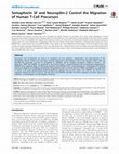 Research paper thumbnail of Semaphorin 3F and Neuropilin-2 Control the Migration of Human T-Cell Precursors