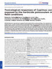 Research paper thumbnail of Toxicological Responses of Cyprinus carpio Exposed to a Commercial Formulation Containing Glyphosate