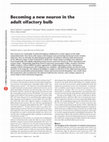 Research paper thumbnail of Becoming a new neuron in the adult olfactory bulb