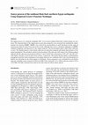 Research paper thumbnail of Source process of the southeast Beni-Suef, northern Egypt earthquake Using Empirical Green's Function Technique