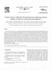 Research paper thumbnail of Cryptic species within the Tetratrichomonas gallinarum species complex revealed by molecular polymorphism