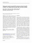 Research paper thumbnail of Phylogenetic analysis of partial RNA-polymerase blocks II and III of Rabies virus isolated from the main rabies reservoirs in Brazil