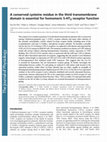 Research paper thumbnail of A conserved cysteine residue in the third transmembrane domain is essential for homomeric 5-HT3 receptor function