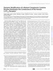 Research paper thumbnail of Dynamic Modification of a Mutant Cytoplasmic Cysteine Residue Modulates the Conductance of the Human 5-HT3A Receptor