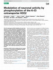 Research paper thumbnail of Modulation of neuronal activity by phosphorylation of the K–Cl cotransporter KCC2