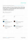 Research paper thumbnail of Present status of Citrus tristeza virus infecting Citrus spp. in Darjeeling hills and its detection in different plant parts