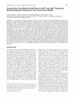 Research paper thumbnail of Connectivity of the Retinal Schiff Base to Asp 85 and Asp 96 during the Bacteriorhodopsin Photocycle: The Local-Access Model