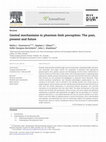 Research paper thumbnail of Central mechanisms in phantom limb perception: The past, present and future