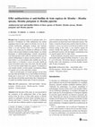 Research paper thumbnail of Effet antibactérien et anti-biofilm de trois espèces de Mentha : Mentha spicata, Mentha pulegium et Mentha piperita