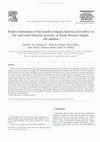 Research paper thumbnail of Positive interactions of the smooth cordgrass Spartina alterniflora on the mud snail Heleobia australis, in South Western Atlantic salt marshes