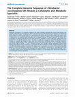 Research paper thumbnail of The Complete Genome Sequence of Fibrobacter succinogenes S85 Reveals a Cellulolytic and Metabolic Specialist