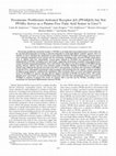 Research paper thumbnail of Peroxisome-proliferator-activated receptor α agonists inhibit cyclo-oxygenase 2 and vascular endothelial growth factor transcriptional activation in human colorectal carcinoma cells via inhibition of activator protein-1