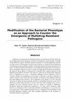 Research paper thumbnail of Modification of the bacterial phenotype as an approach to counter the emergence of multidrug-resistant pathogens