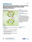 Research paper thumbnail of Single-Base Resolution Analysis of 5-Formyl and 5-Carboxyl Cytosine Reveals Promoter DNA Methylation Dynamics