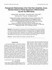 Research paper thumbnail of Phylogenetic Relationships of the Tribe Paini (Amphibia, Anura, Ranidae) Based on Partial Sequences of Mitochondrial 12s and 16s rRNA Genes