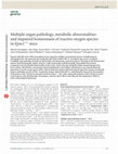 Research paper thumbnail of Multiple organ pathology, metabolic abnormalities and impaired homeostasis of reactive oxygen species in Epas1-/- mice