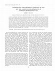 Research paper thumbnail of Interspecific and Intraspecific Variation in Seed Size and Germination Requirements of Sarracenia (Sarraceniaceae)