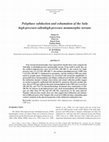 Research paper thumbnail of Polyphase subduction and exhumation of the Sulu high-pressure–ultrahigh-pressure metamorphic terrane