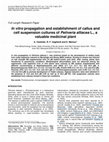 Research paper thumbnail of In vitro propagation and establishment of callus and cell suspension cultures of Petiveria alliacea L., a valuable medicinal plant