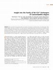 Research paper thumbnail of Insight into the family of Na+/Ca2+ exchangers of Caenorhabditis elegans