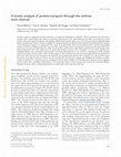 Research paper thumbnail of A kinetic analysis of protein transport through the anthrax toxin channel