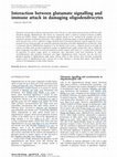 Research paper thumbnail of Interaction between glutamate signalling and immune attack in damaging oligodendrocytes