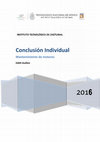 Research paper thumbnail of Conclusión Individual Mantenimiento de motores