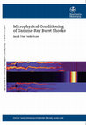 Research paper thumbnail of Microphysical Conditioning of Gamma-Ray Burst Shocks