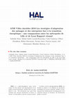 Research paper thumbnail of ANR Villes durables 2010 Les stratégies d'adaptation des ménages et des entreprises face à la transition énergétique : une comparaison entre les métropoles de Lille et de Lyon