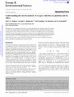 Research paper thumbnail of Understanding the electrocatalysis of oxygen reduction on platinum and its alloys