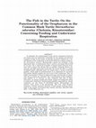 Research paper thumbnail of The Fish in the Turtle: On the Functionality of the Oropharynx in the Common Musk Turtle Sternotherus odoratus (Chelonia, Kinosternidae) Concerning Feeding and Underwater Respiration