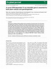 Research paper thumbnail of A novel ATM-dependent X-ray-inducible gene is essential for both plant meiosis and gametogenesis