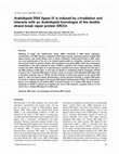 Research paper thumbnail of Arabidopsis DNA ligase IV is induced by gamma-irradiation and interacts with an Arabidopsis homologue of the double strand break repair protein XRCC4