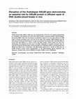 Research paper thumbnail of Disruption of the Arabidopsis AtKu80 gene demonstrates an essential role for AtKu80 protein in efficient repair of DNA double-strand breaks in vivo