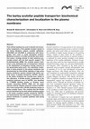 Research paper thumbnail of The barley scutellar peptide transporter: biochemical characterization and localization to the plasma membrane