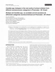 Research paper thumbnail of Candida spp. biotypes in the oral cavity of school children from different socioeconomic categories in Piracicaba - SP, Brazil