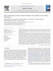 Research paper thumbnail of Recent sedimentary processes along the Makran trench (Makran active margin, off Pakistan