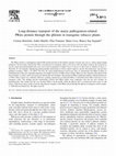 Research paper thumbnail of Long-distance transport of the maize pathogenesis-related PRms protein through the phloem in transgenic tobacco plants