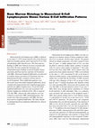 Research paper thumbnail of Bone Marrow Histology in Monoclonal B-Cell Lymphocytosis Shows Various B-Cell Infiltration Patterns