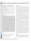 Research paper thumbnail of Apoptosis in capillary endothelial cells in ageing skeletal muscle