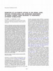 Research paper thumbnail of Inhibition of glutamate uptake in the spinal cord induces hyperalgesia and increased responses of spinal dorsal horn neurons to peripheral afferent stimulation