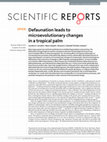 Research paper thumbnail of Defaunation leads to microevolutionary changes in a tropical palm