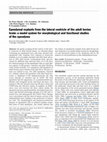 Research paper thumbnail of Ependymal explants from the lateral ventricle of the adult bovine brain: a model system for morphological and functional studies of the ependyma