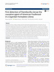 Research paper thumbnail of First detection of Paenibacillus larvae the causative agent of American Foulbrood in a Ugandan honeybee colony